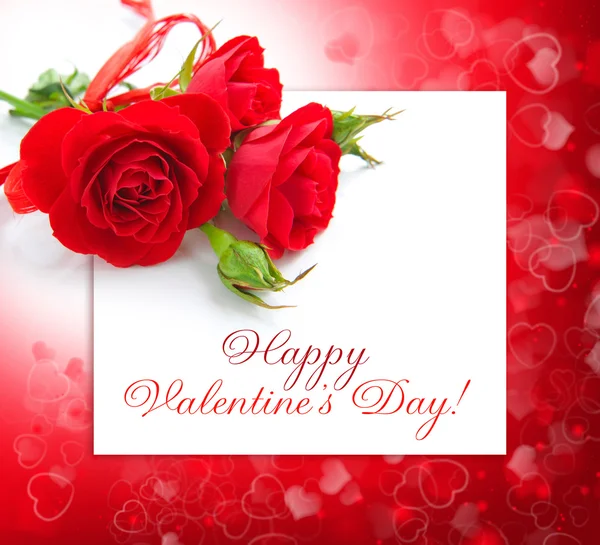 Red roses are on a background a card of greeting — Stock Photo, Image