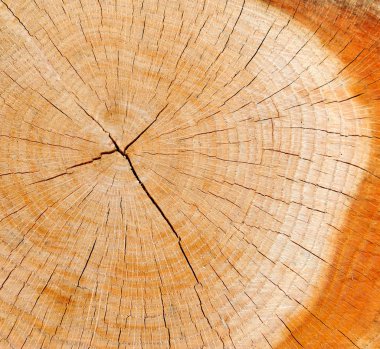 Ahşap doku arkaplanı