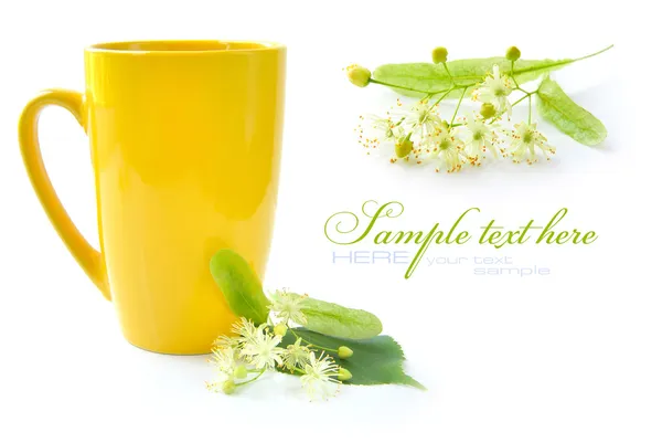 Flores de tília são com a xícara de chá — Fotografia de Stock