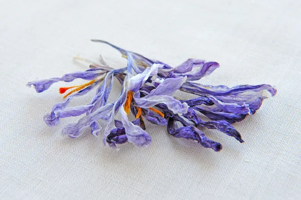 Dry Saffron flowers on sackcloth, herbal medicine — Stock Photo, Image