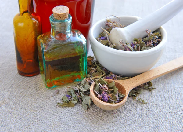 Száraz gyógynövény tea erdei az üveg a zsákvászon, gyógynövény tinktúrák — Stock Fotó