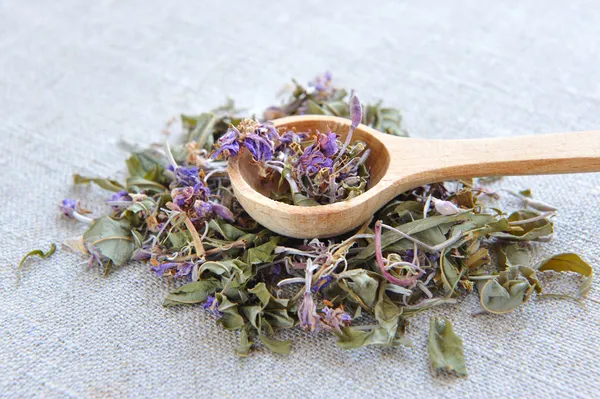 Trockener Kräutertee chamerion in einem Holzlöffel auf Sacktuch, Kräutermedizin — Stockfoto