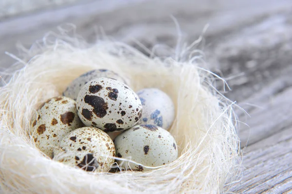 Kwartel eieren in een nest op een oude houten achtergrond — Stockfoto