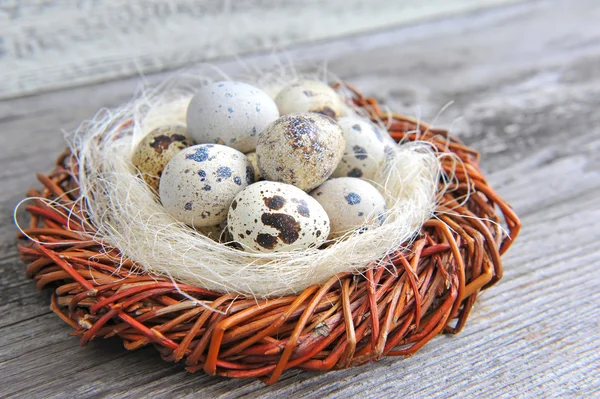 Kwartel eieren in een nest op een oude houten achtergrond — Stockfoto