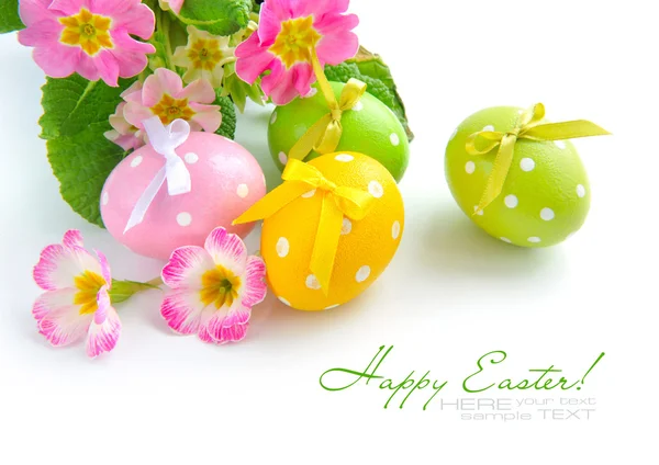 Colorful easter eggs and beautiful primula flowers (easter composition) — Stock Photo, Image