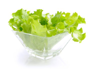 beyaz zemin üzerinde bir cam tabak taze yeşil salata