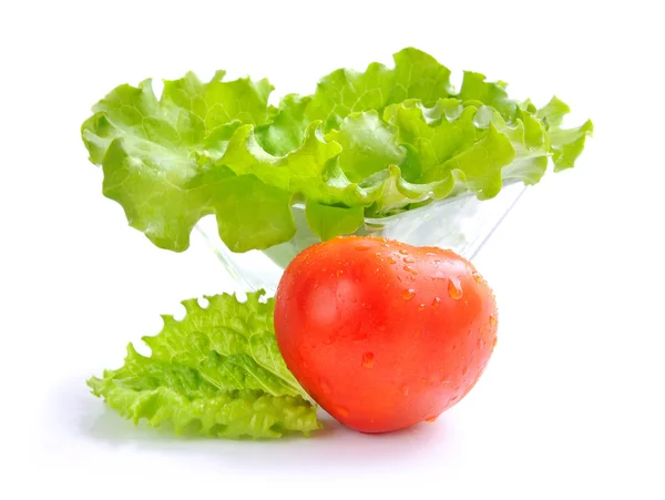 Ensalada verde fresca y tomate aislado sobre fondo blanco — Foto de Stock