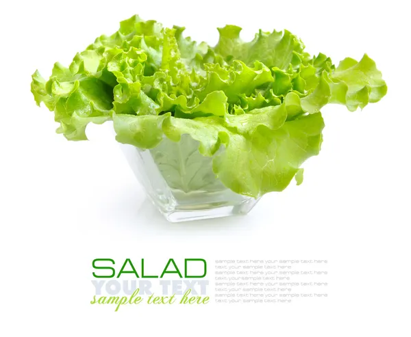 在白色背景上的玻璃皿中的新鲜绿色沙拉 — 图库照片