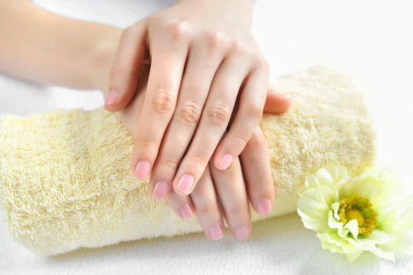 Belle mani di donna sono su un asciugamano — Foto Stock