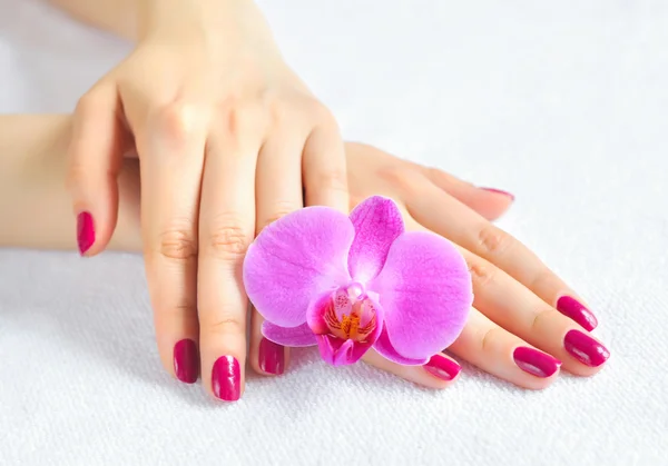 Krásné ruce s manikúrou a purpurová orchidej květina — Stock fotografie
