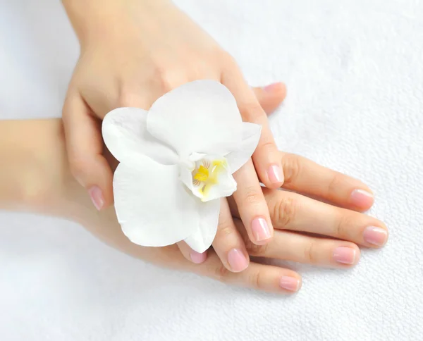 Krásná žena ruce s bílou orchidej květina — Stock fotografie