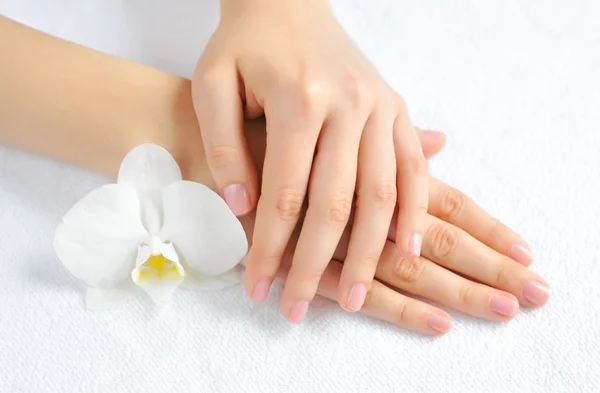 Hermosas manos de mujer con flor de orquídea blanca — Foto de Stock