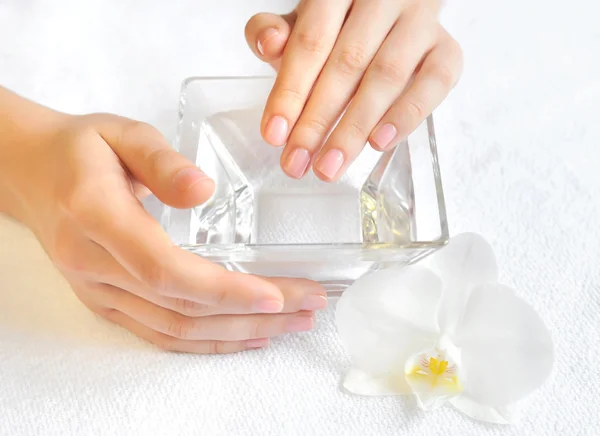 Donna mani in ciotola di vetro con acqua su un asciugamano bianco — Foto Stock
