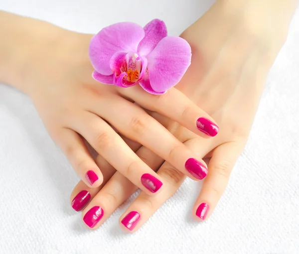 Hermosas manos con manicura y flor de orquídea púrpura —  Fotos de Stock