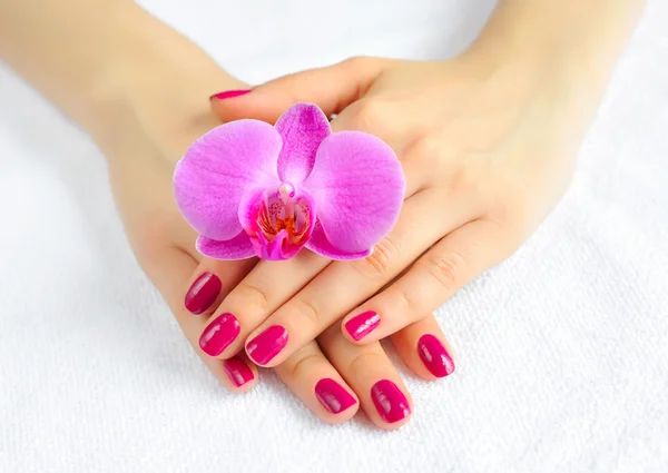 Mooie handen met manicure en paarse orchideebloem — Stockfoto