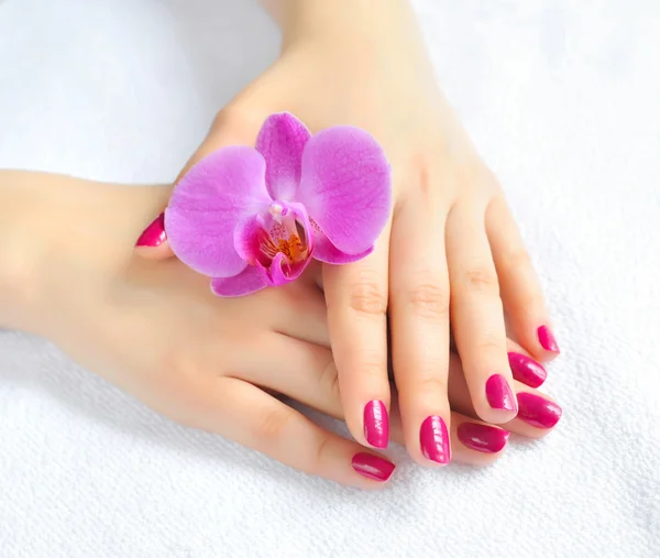 Belas mãos com manicure e flor de orquídea roxa — Fotografia de Stock