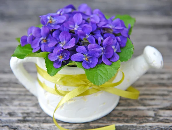 Flores violetas de madera (Viola odorata ) — Foto de Stock