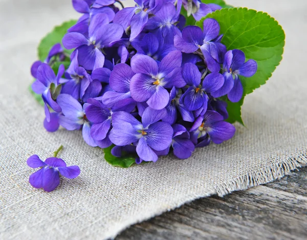 Ξύλο βιολέτες λουλουδιών (Viola odorata) σε λινάτσα — Φωτογραφία Αρχείου