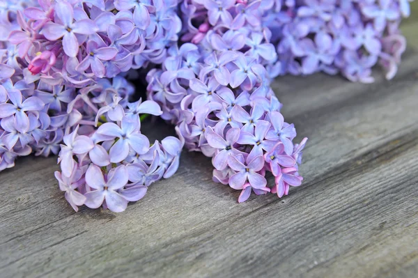 Flores frescas de lilás em um velho fundo de madeira — Fotografia de Stock