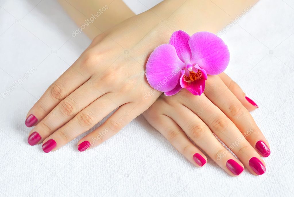 Beautiful hands with manicure and purple orchid flower