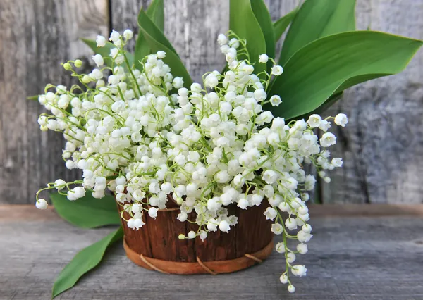 Cesta com lírios do vale (Convallaria majalis ) — Fotografia de Stock