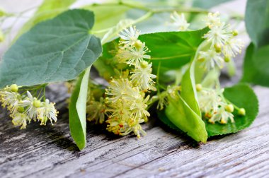 eski bir ahşap zemin üzerinde ıhlamur ağacının çiçekleri