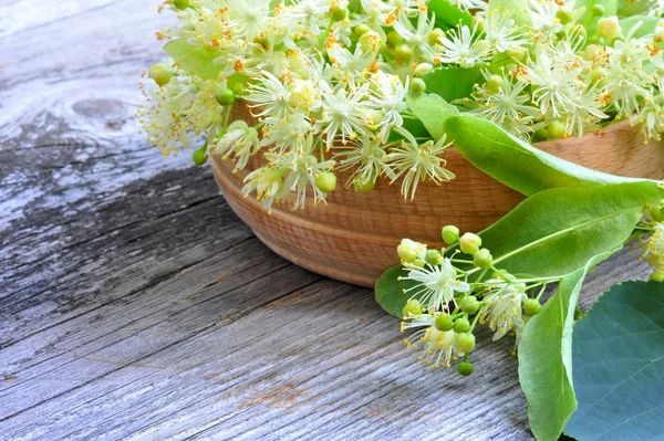 Bloemen van Linde in houten kom — Stockfoto