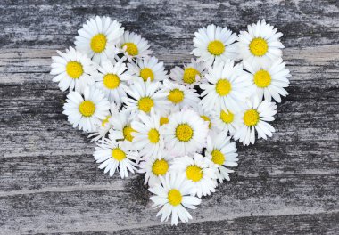 eski ahşap arka plan Daisy aşk sembolü
