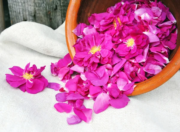 Edible petals of rose for preparing fragrant jam — Stock Photo, Image