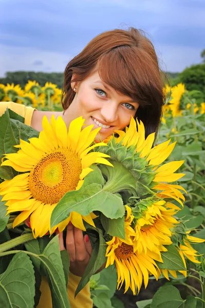 Jonge mooie vrouw op een zonnebloem gebied. zomerpicknick — Stockfoto