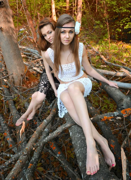 Młode piękne kobiety są w lesie jesienią — Zdjęcie stockowe
