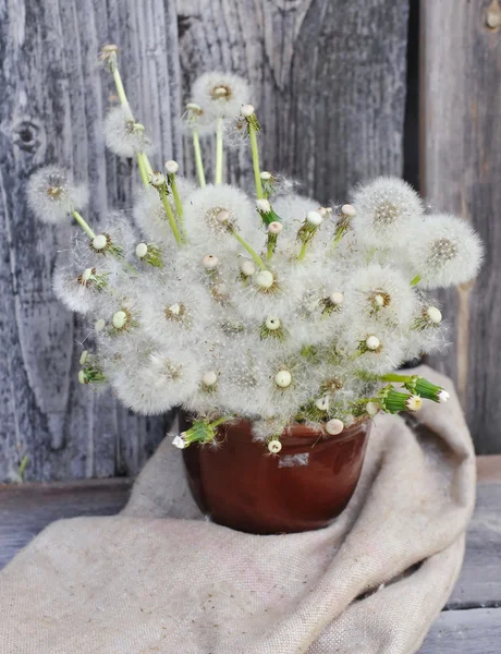 Bouquet of dandelions in a ceramic jug — Stock Photo, Image