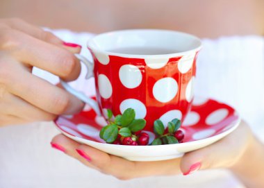 Fuska (Vaccinium vitis-idaea) çay kadın elinde