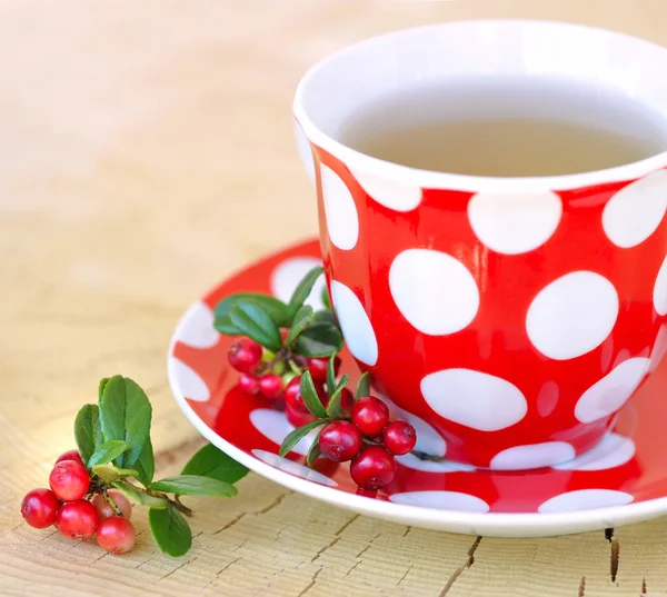 Cowberry (Vaccinium vitis-idaea) tea outdoors — Stock Photo, Image