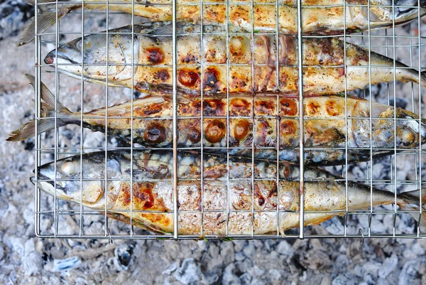 Grilled mackerels on the grill on campfire — Stock Photo, Image