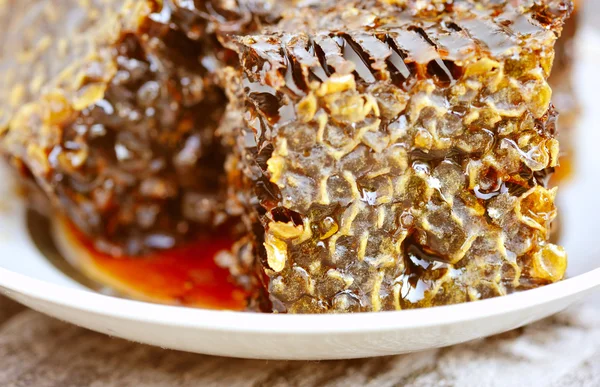 Doux nid d'abeilles avec du miel dans l'assiette, gros plan — Photo