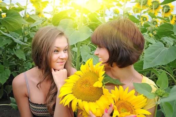 Ayçiçeği alan genç güzel kadın