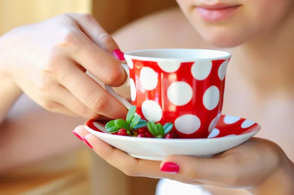 Cowberry (Vaccinium vitis-idaea) tea in woman hands — Stock Photo, Image