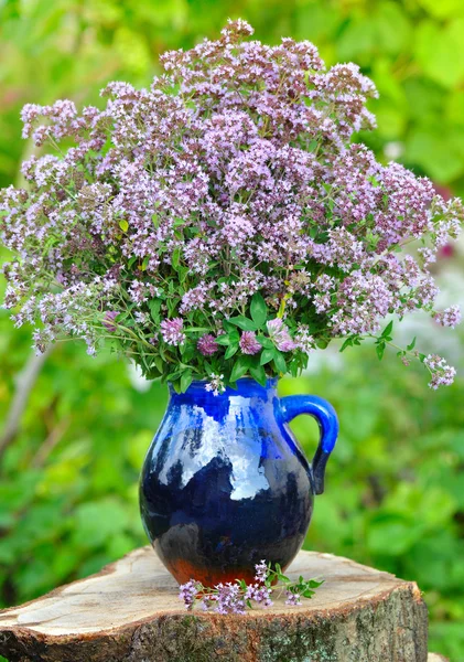 Taze kekik (Origanum vulgare) açık havada güzel buket