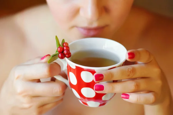 El té de la baya (Vaccinium vitis-idaea) en las manos femeninas — Foto de Stock