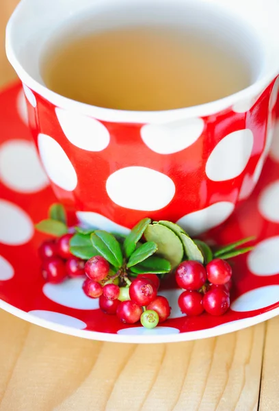 Cowberry (Vaccinium vitis-idaea) tea — Stock Photo, Image