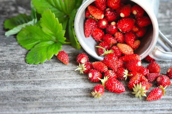 旧木桌上的新鲜野生草莓 — 图库照片