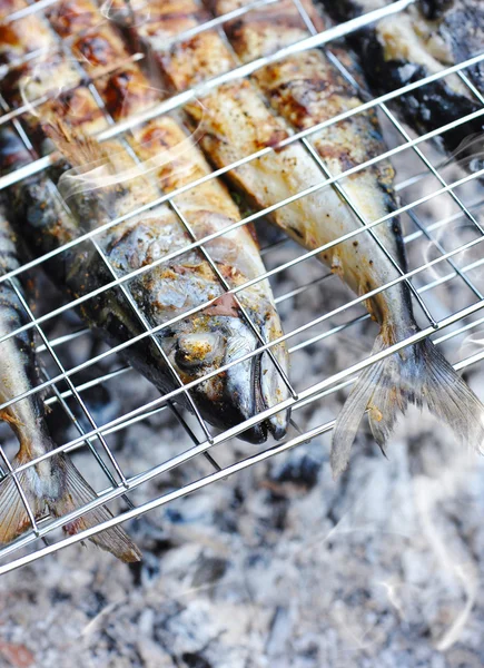Grilled mackerels on the grill on campfire — Stock Photo, Image