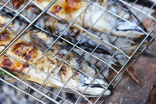 Grilled mackerels on the grill on campfire — Stock Photo, Image