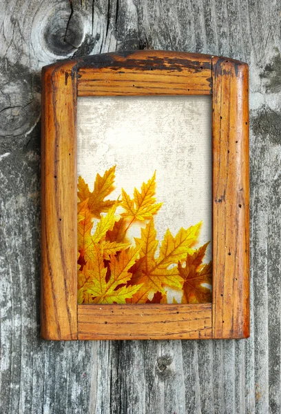 Старая деревянная рама с осенними листьями на старой деревянной стене — стоковое фото