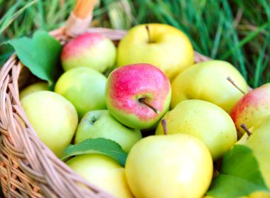Sepette Sağlıklı Organik Elmalar