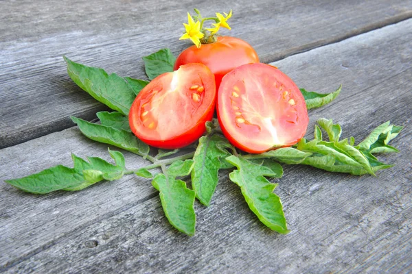 Tomatoes are with leaves and flowers on an old wooden table — Stock Photo, Image