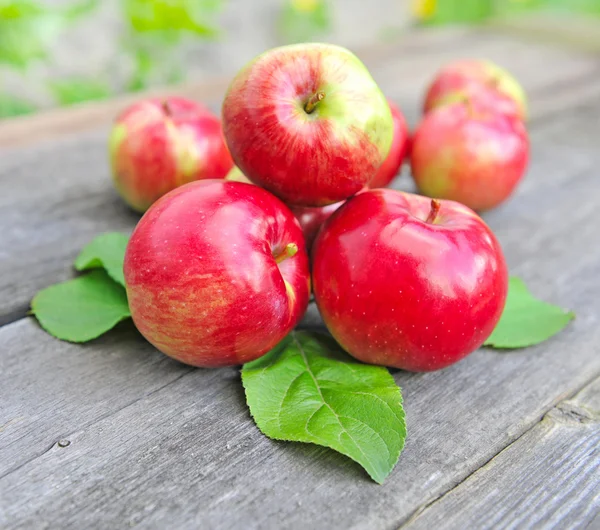 木のベンチで新鮮なリンゴ — ストック写真