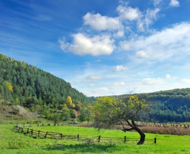 Sonbaharda kırsal alan