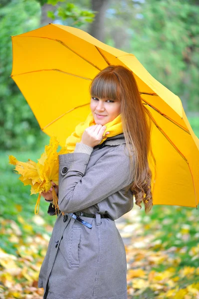 Schöne junge Frau ist in einem herbstlichen Park mit einem Regenschirm — Stockfoto